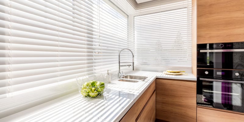 Intro to Window Blinds